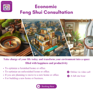 Economic Feng Shui Consultation